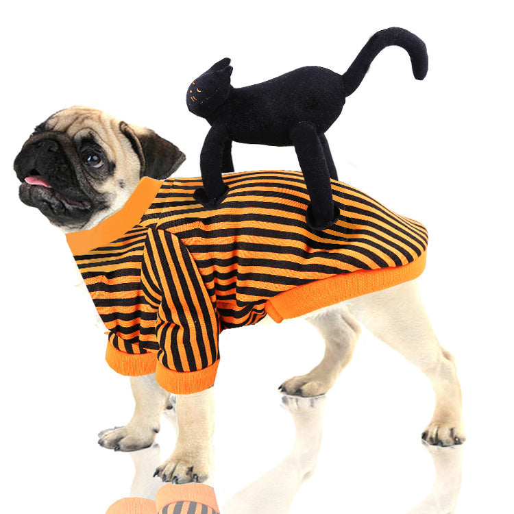 Stylish trending Clothes for Pets