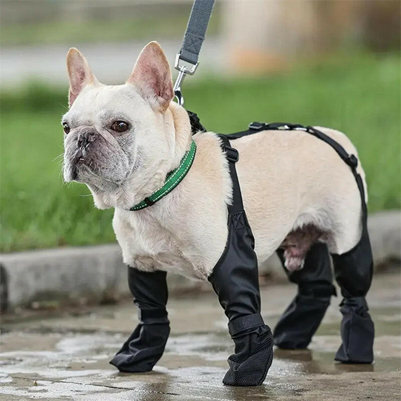 Waterproof Adjustable Dog Boots-SALE💥.