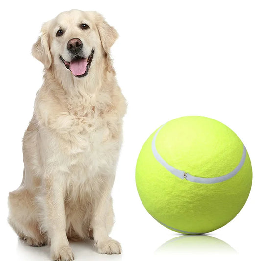 Giant Tennis Ball for Dogs.